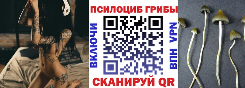 Галлюциногенные грибы Magic Shrooms  даркнет сайт  Демидов 